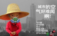 大氣污染的影晌
