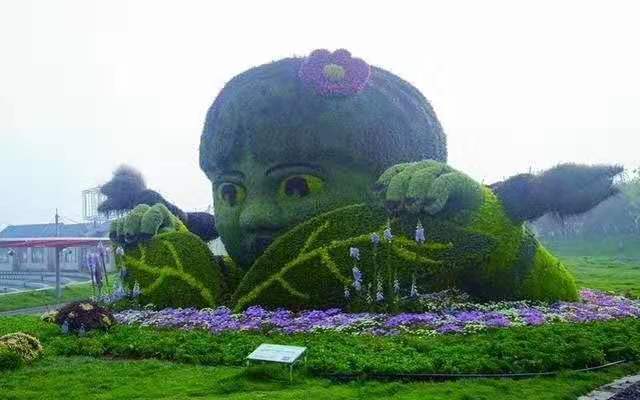 常州五色草造型-最美的五色草造型