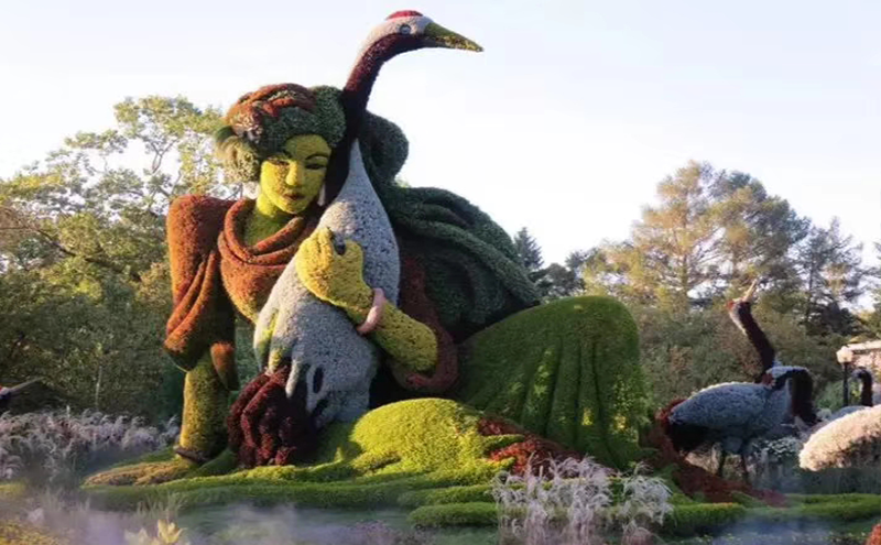 立體花壇的設(shè)計制作過程