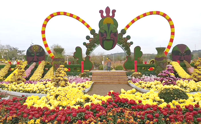 立體花壇的的建造與養(yǎng)護(hù)技術(shù)