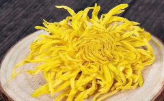 金絲皇菊一畝地干花產(chǎn)量和利潤(rùn)