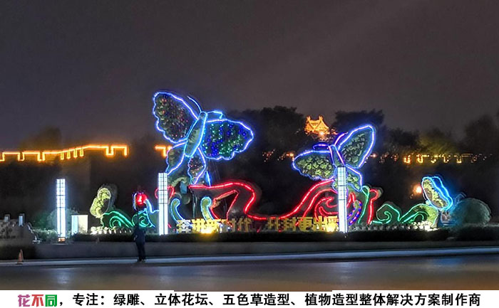 蝶語花香植物立體花壇夜間實拍圖