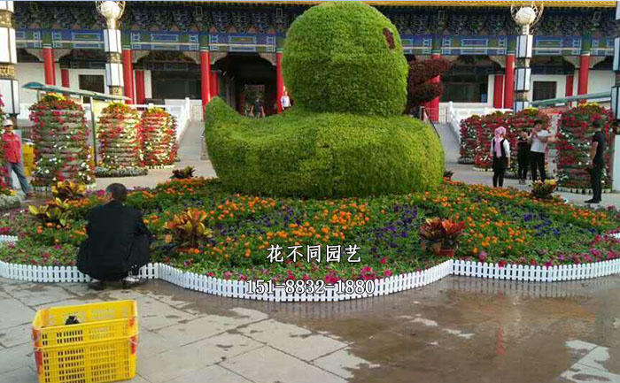 新疆簡約五色草立體花壇現(xiàn)場實拍圖