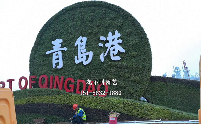 山東青島八一建軍節(jié)五色草造型現(xiàn)場實(shí)拍圖