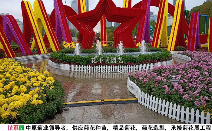 多頭菊再菊花展中的應(yīng)用案例