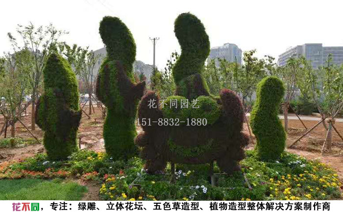 動(dòng)物綠雕造型-螃蟹實(shí)拍圖片