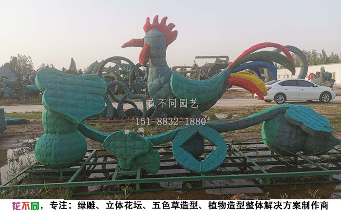 植物綠雕動物造型骨架-公雞現(xiàn)場實(shí)拍圖