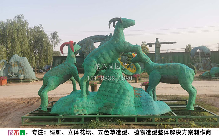 植物綠雕動物造型骨架-三羊開泰現(xiàn)場實(shí)拍圖