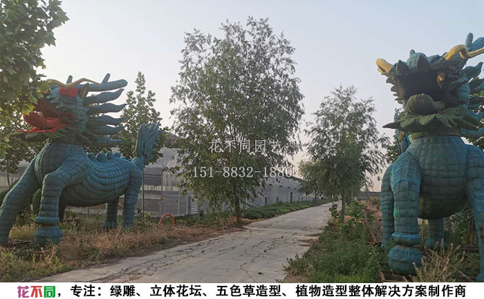 植物綠雕動物造型骨架-麒麟現(xiàn)場實(shí)拍圖