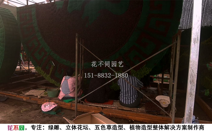 插草工人在廠區(qū)給植物綠雕補草