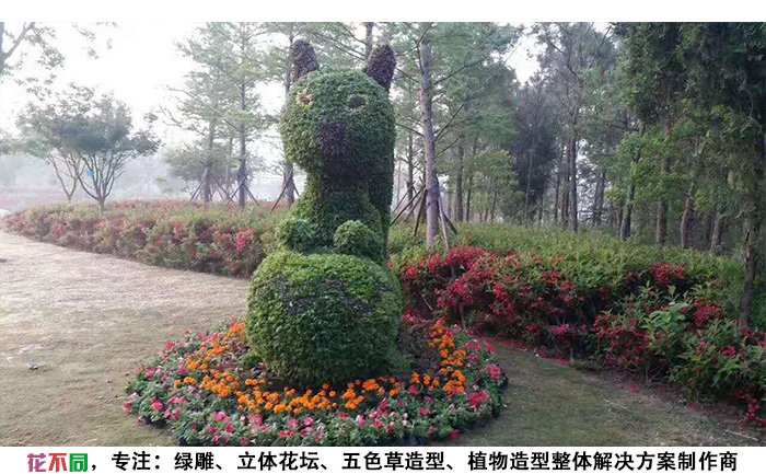 動(dòng)物景觀綠雕造型-松鼠現(xiàn)場(chǎng)實(shí)拍圖片