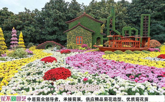 開(kāi)封菊花基地花海景觀實(shí)拍圖