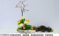 菊花展的精彩活動(dòng)策劃方略