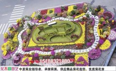 菊花花壇布置的藝術(shù)巧思