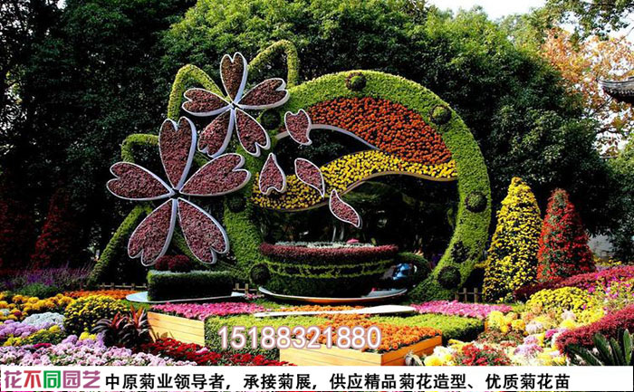 菊花展現(xiàn)場(chǎng)施工照片