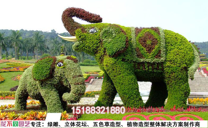 綠雕景觀效果圖設(shè)計圖